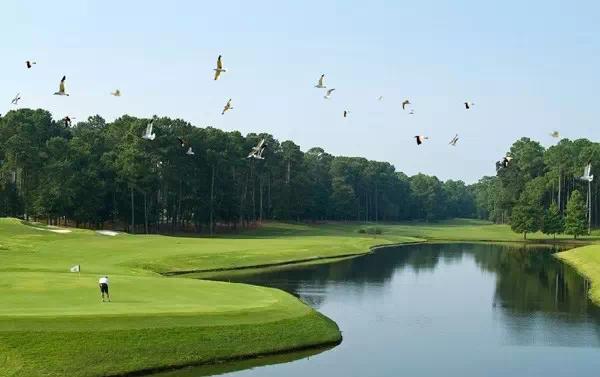 惠州水榕庄度假别墅新春特惠,惠州水榕庄度假别墅六房一厅