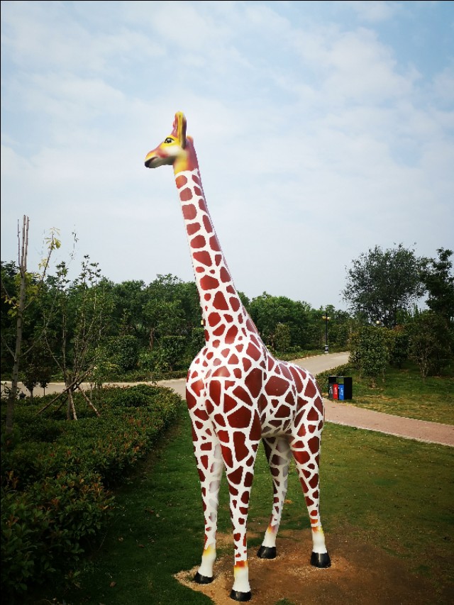 周山森林体育公园,周山公园步道