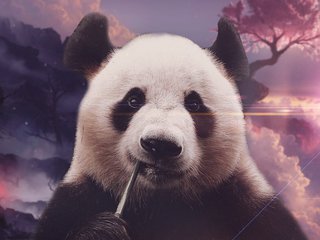 淘宝美工怎么学最快,淘宝美工0基础学ps