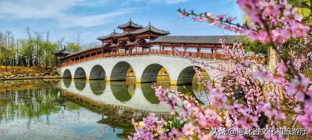 爱家乡游河北发现身边的美|披着初夏的清风，踏着热闹的浪，在五月的秦皇岛玩出新花样~