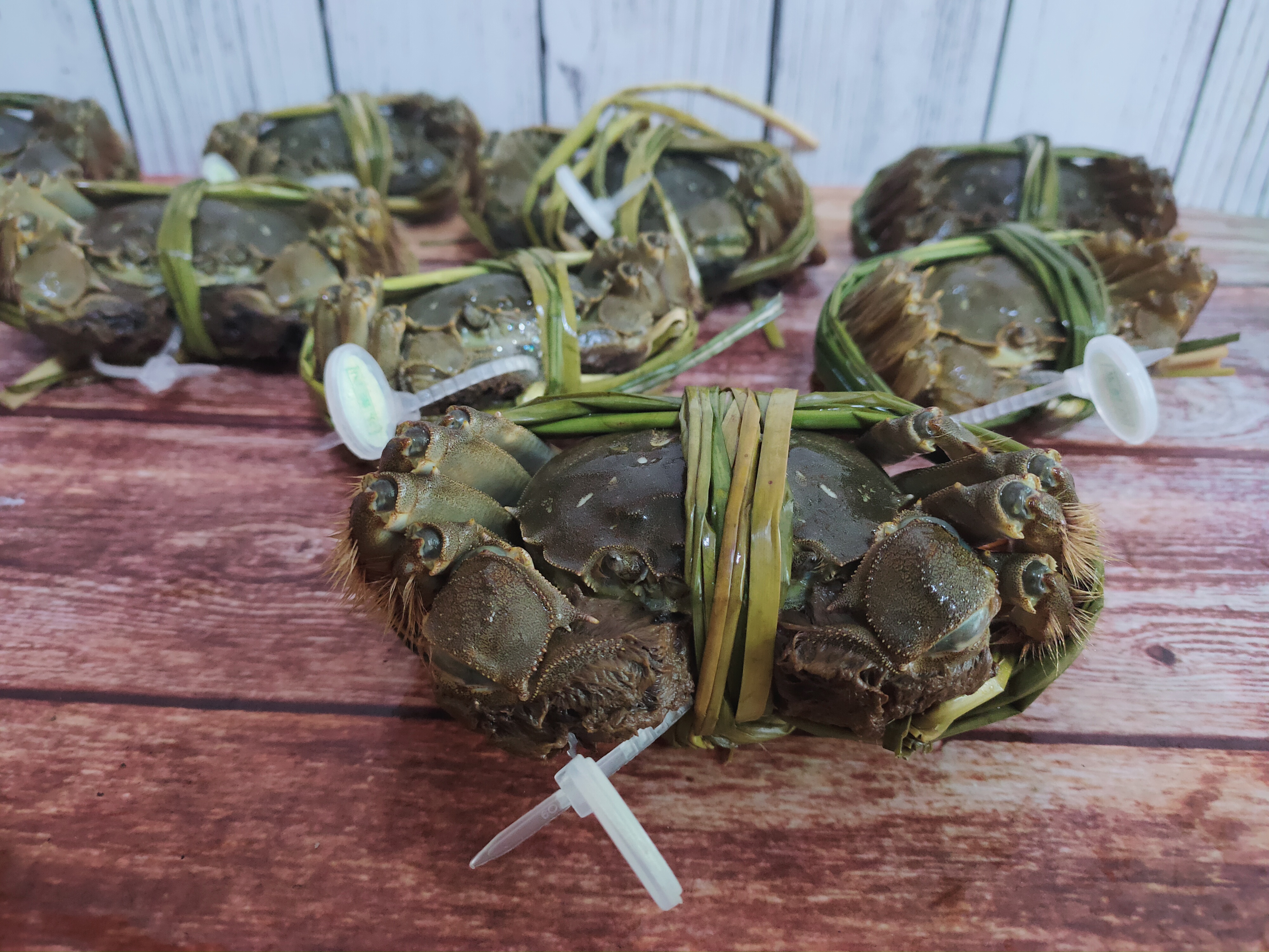 大闸蟹如何做才有营养视频,活的大闸蟹怎么做才好吃又营养