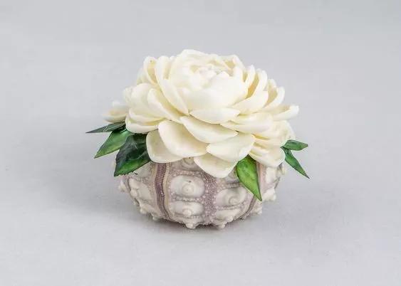 海边捡的贝壳可以做什么手工,贝壳创意手工种花