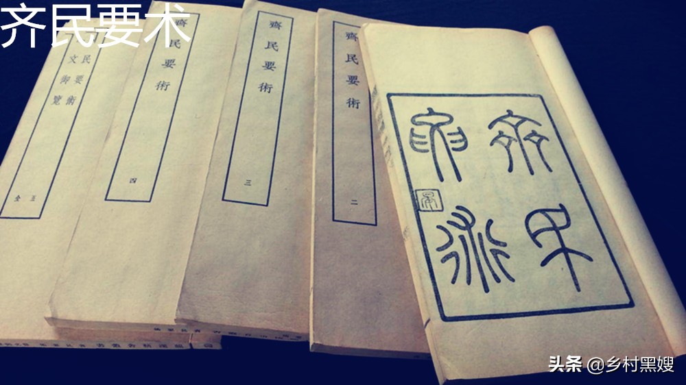 槐树是鬼树为什么还定为国槐,槐树叫鬼树是什么意思