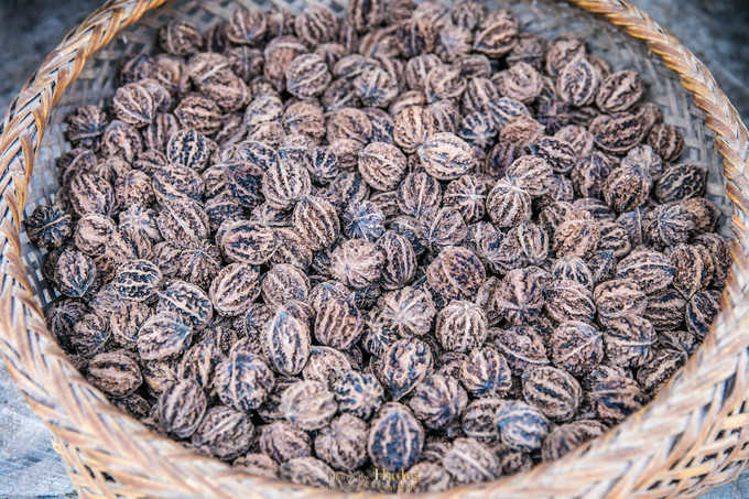 四川古蜀寻芳之幻梦朝天游玩攻略,都江堰古蜀寻芳