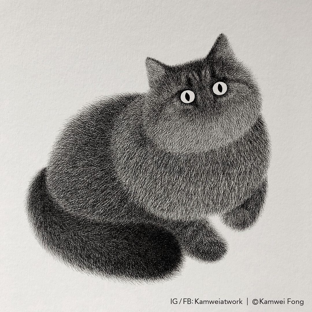 毛茸茸的手绘猫,可爱黑白手绘猫咪