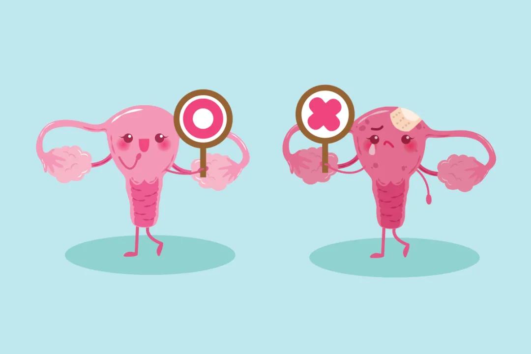 试管中遇到的问题,试管经历的这些事