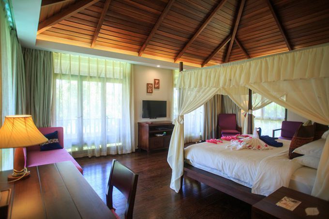 拥抱大海三亚,拥抱海南