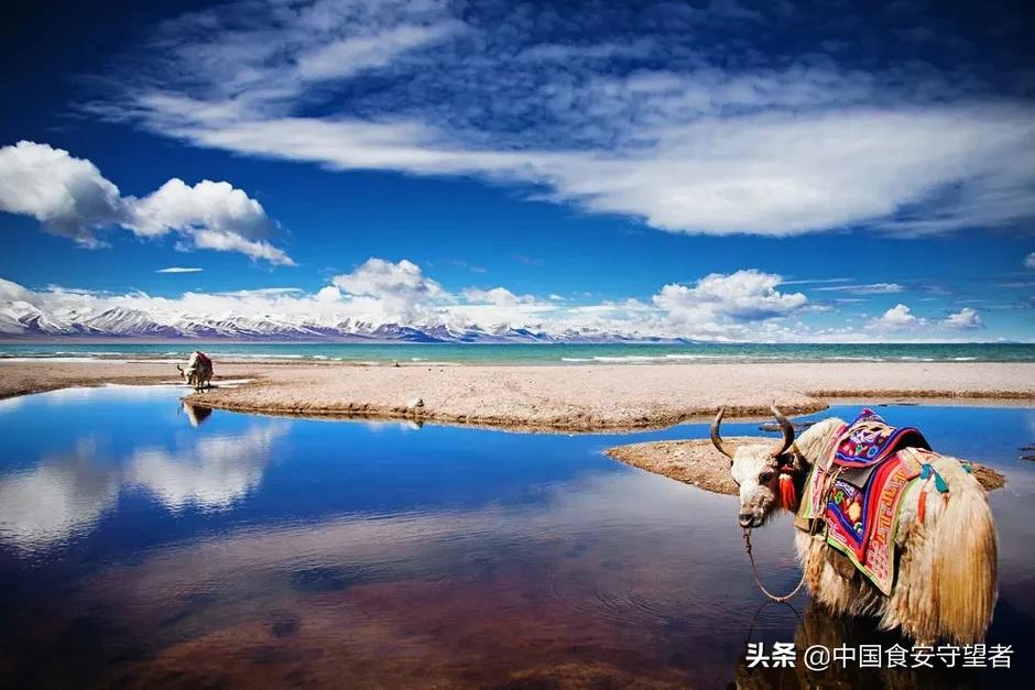 中国各省地图代表性特产,今年各省出乎意料的特产