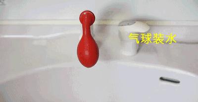 猫咪清凉一夏剃毛视频,夏季猫咪养护方法有哪些