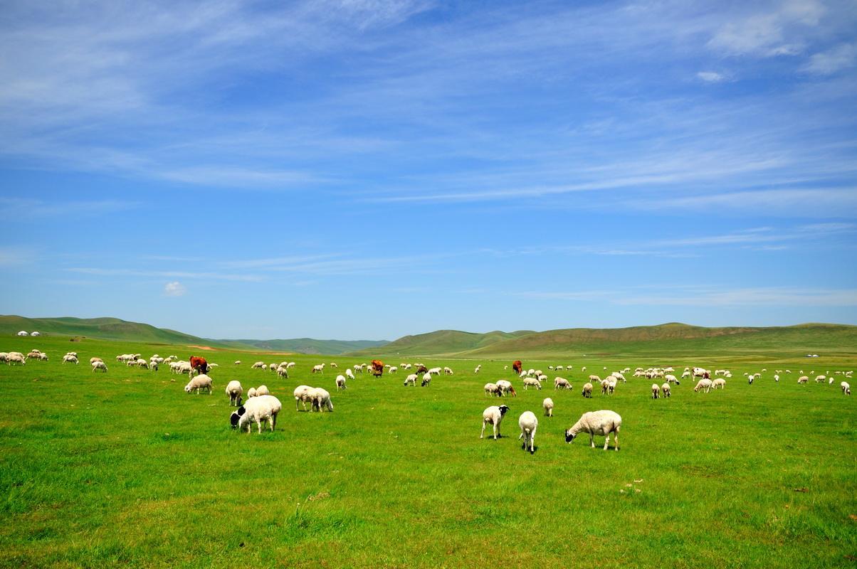韩国牛肉一公斤1090元人民币,韩国牛肉价格暴涨1090元
