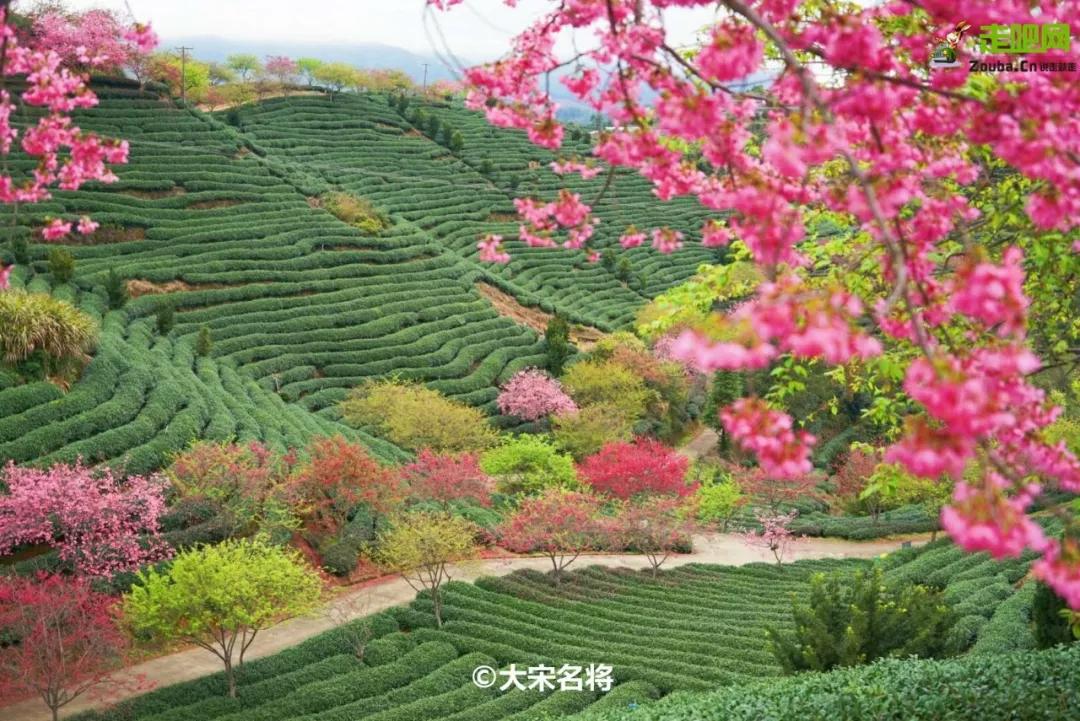 过年了你的爱车清洗了吗,新春要把你的爱车打扮美美的