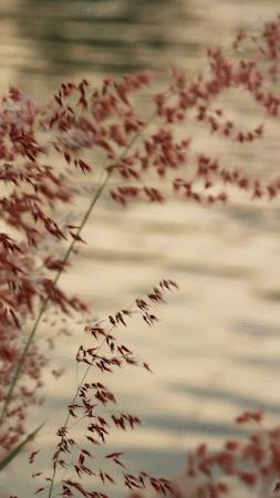 深圳好玩景点地铁路线,深圳好玩免费景点地铁直达的