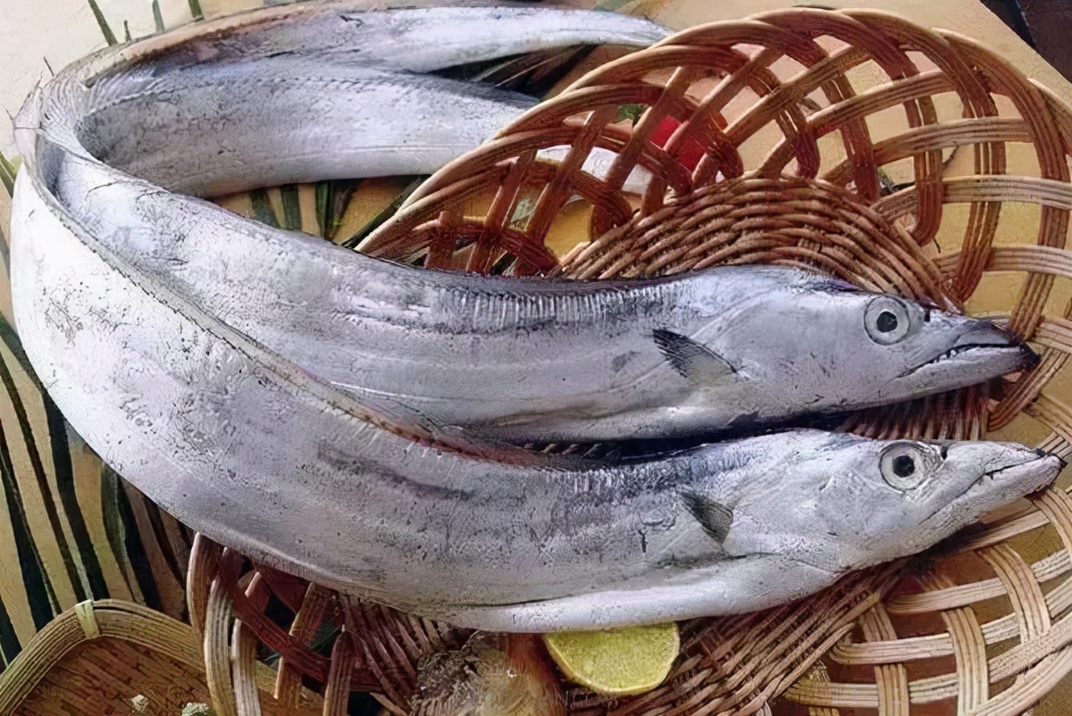 提醒少吃这几种食物,老年人有几种鱼尽量少吃