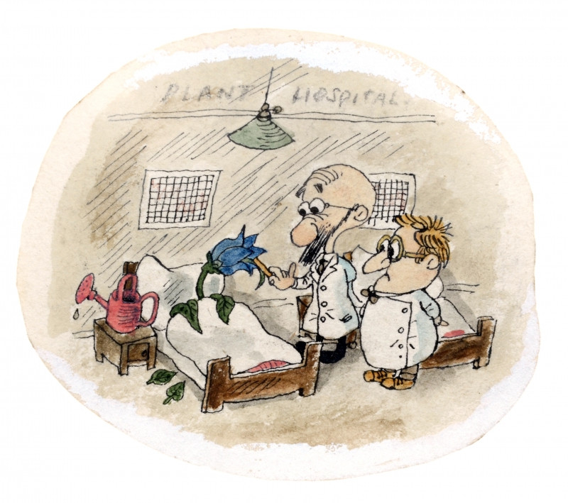 成年人的世界太累了真想回到童年,关于童年的插画简单的