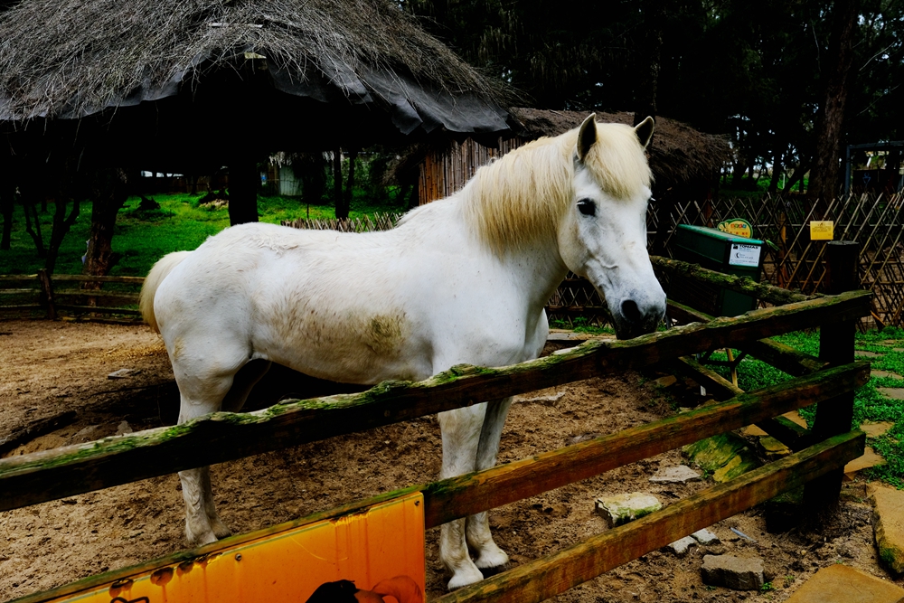 福建六鳌海滩,得天独厚图片