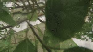 救命！现在国产剧的吻戏都是魔鬼啊！掐着人中看完了