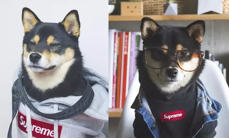 gucci和supreme联名马丁靴,guccisupreme鞋子