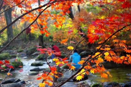 十一沿途风景,十一去红叶谷的景致