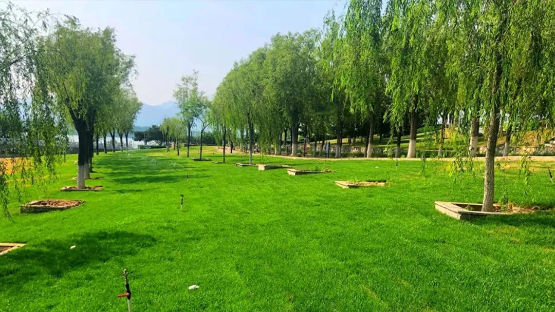 北京青龙湖湿地公园最新消息,北京青龙湖湿地公园现在开放吗