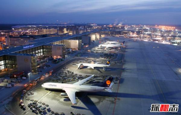 了解巴西简介,了解一下巴西的原始森林