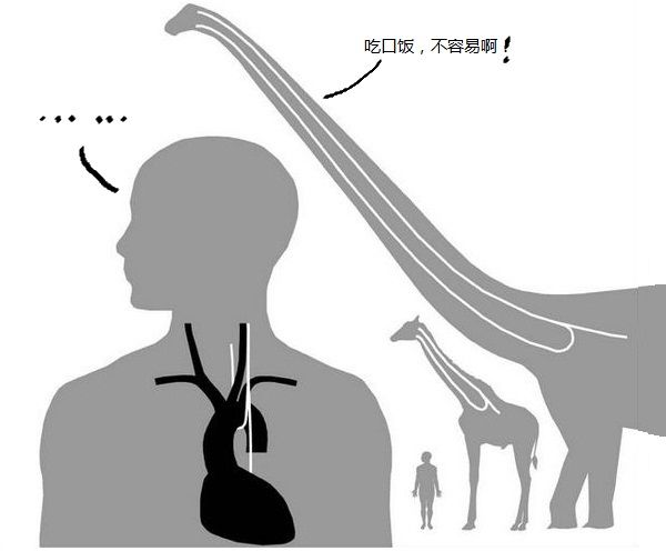 人类是真的经过设计的吗,大胆的推测