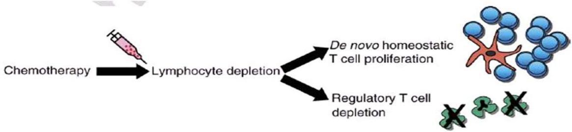 姑息性化疗恶性肿瘤免疫治疗,肿瘤免疫治疗和化疗的区别