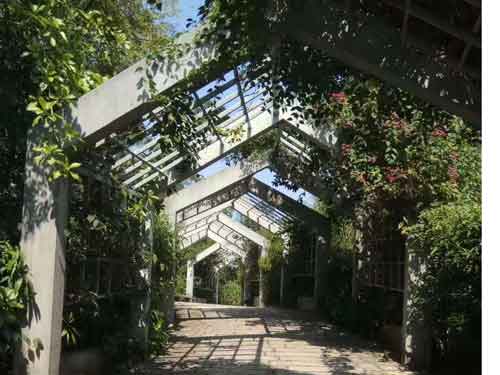 *疮痤**疤痕有哪些种类