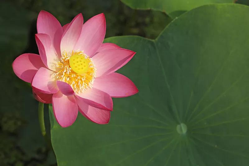 水中洼地叫什么,水中高地叫什么