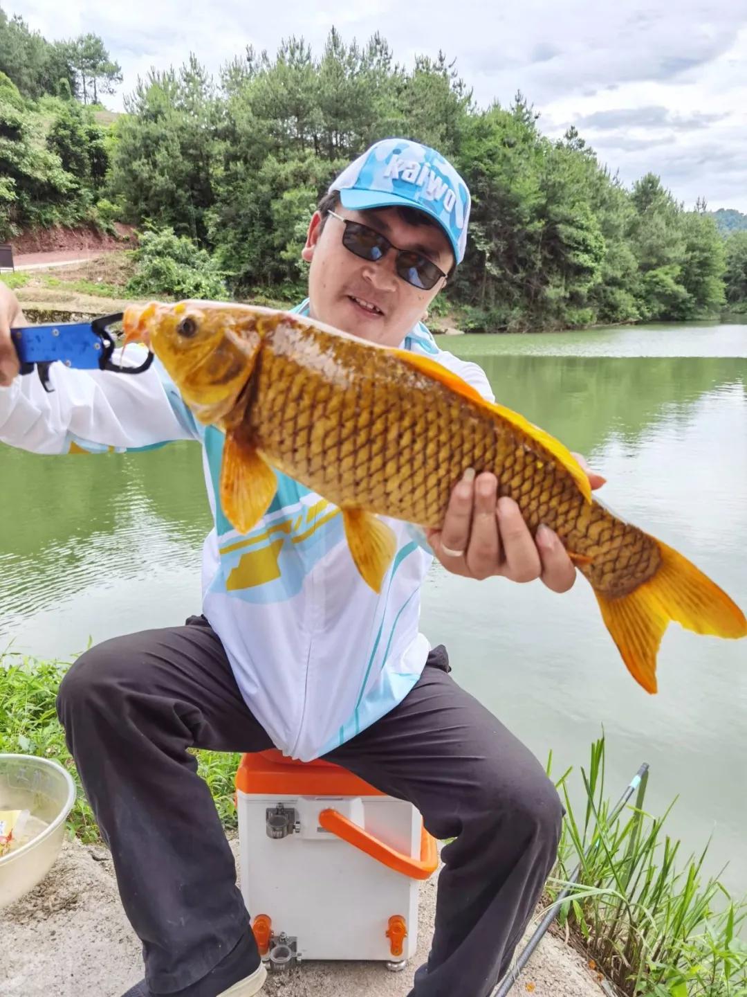 娌冮紟绔垮拰鐚涘皢绔垮摢涓ソ,娌冮紟椴ょ娴嬭瘎