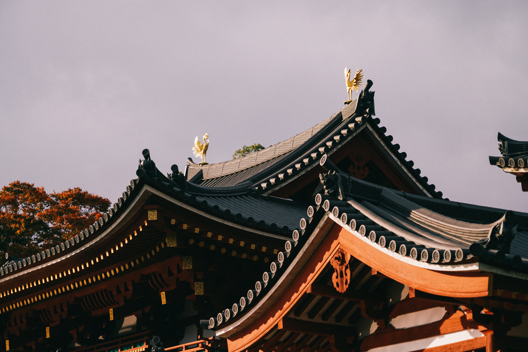 日本京都南禅寺国宝,日本旅游国宝