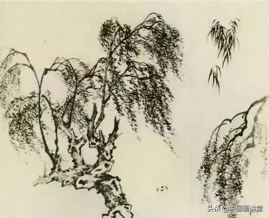 缠枝、挺杆、屈节、钮裂、一棵树如何画?看了这篇你绝对能学会