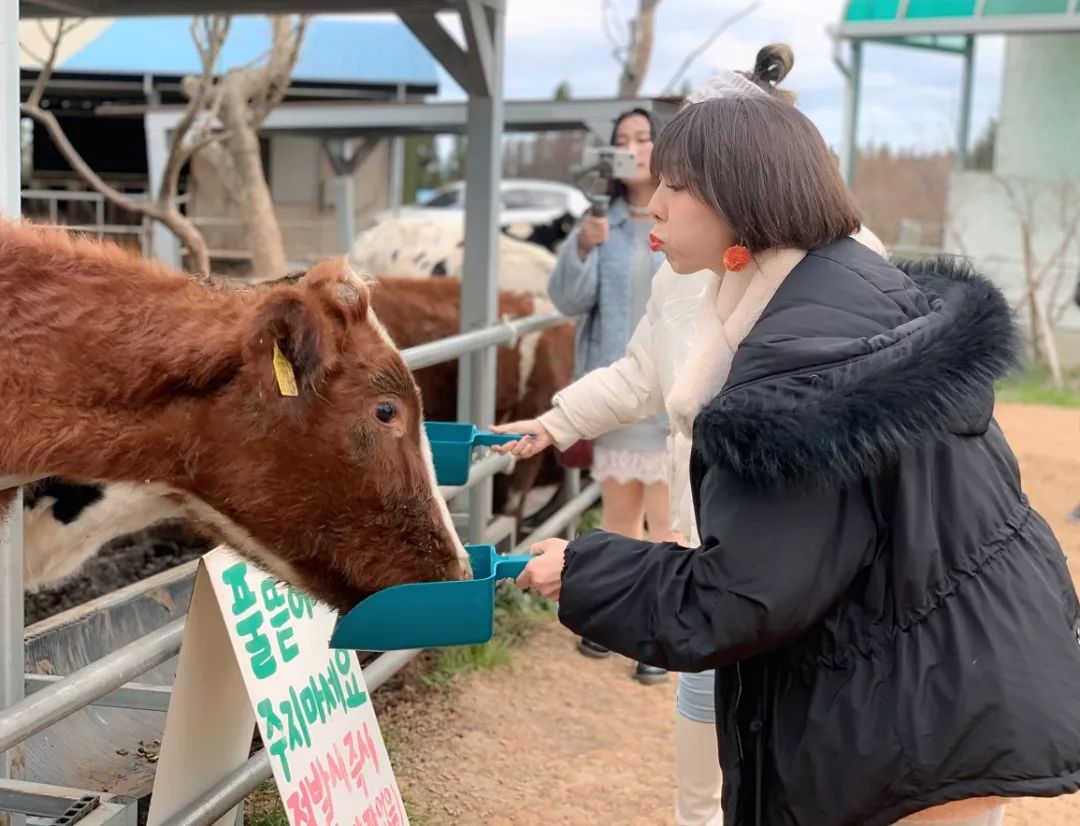 西安直飞1h,西安出发三日游冬季高铁
