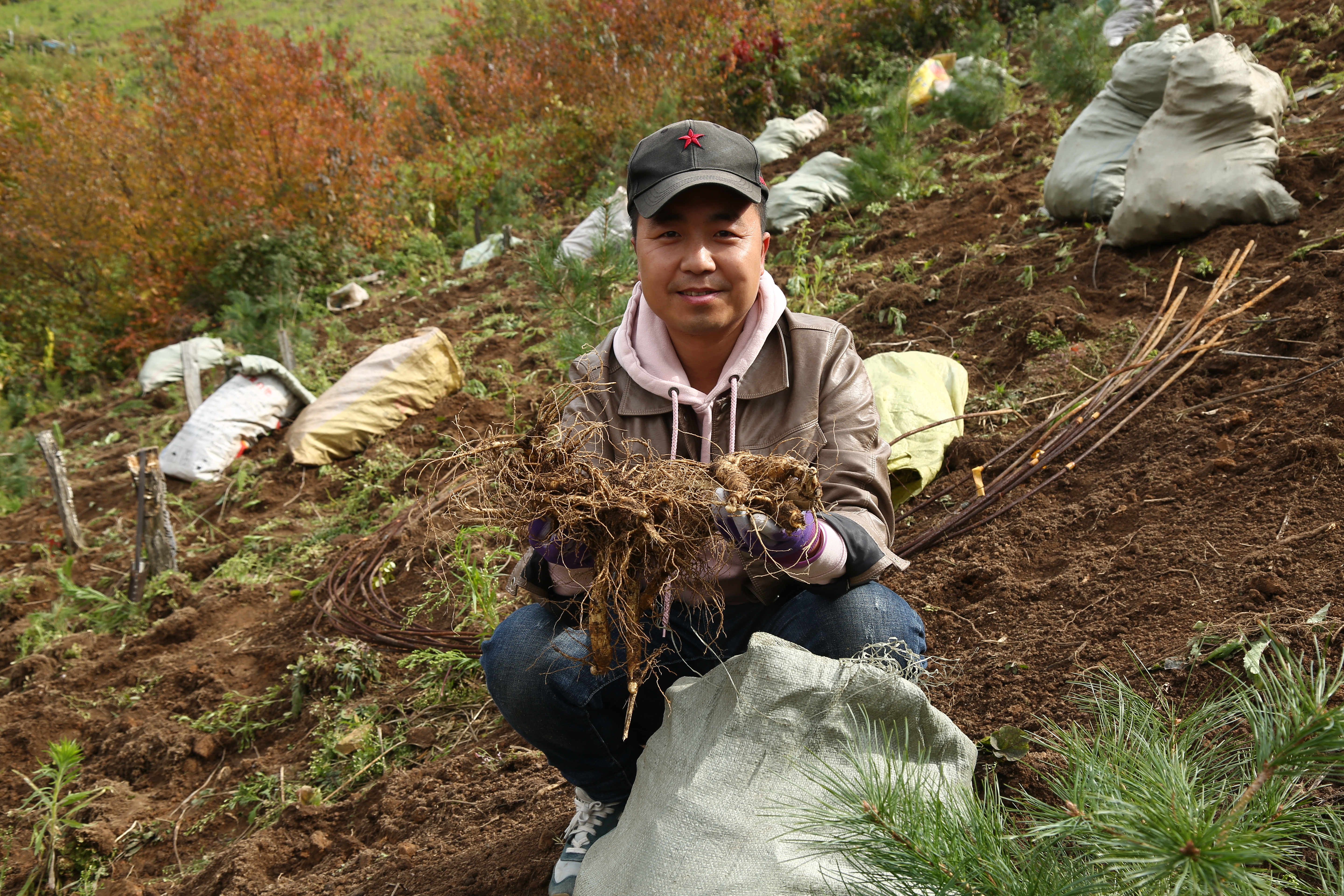 鲜参怎么保存,鲜参怎么保存放盒子