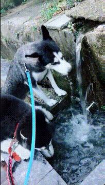 这么调皮的女朋友,我也想来一打