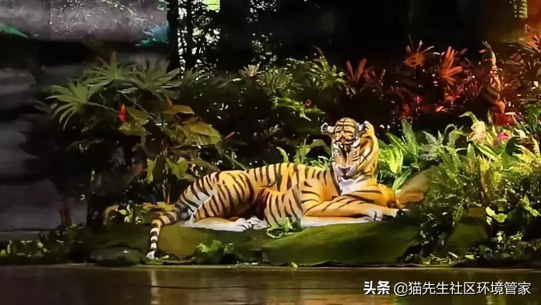 疯狂的裸体彩绘|这世间事十有八九都与垃圾分类有关