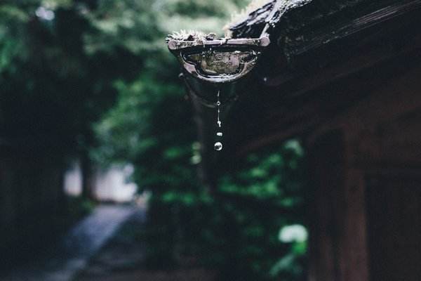 最美的台湾伤感情歌,最美情诗100句