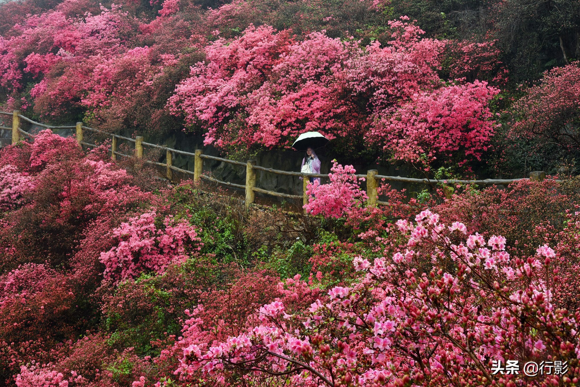 武汉青山网红打卡景点,云雾山武汉