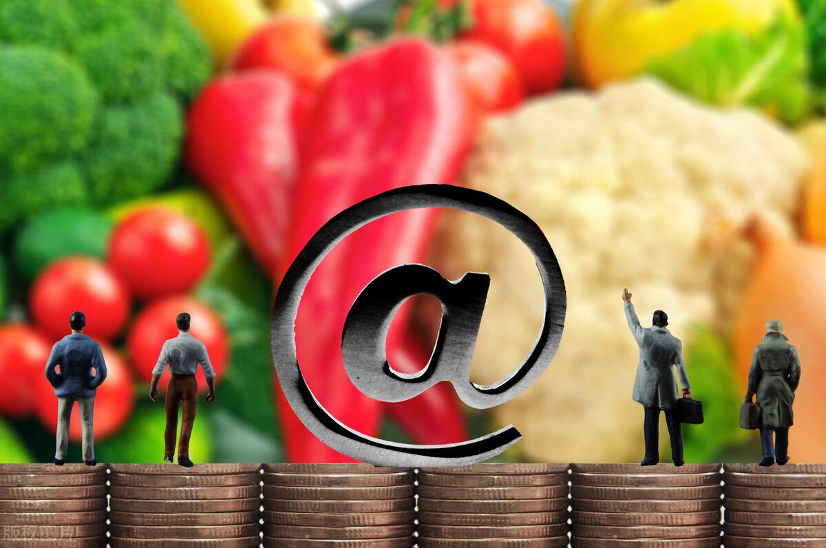 县城创业未来十年前景好的行业,2024年农村山区最适合创业项目