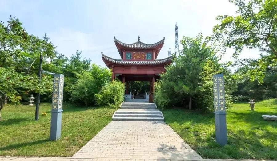 四十而已未来可期,三十而已未来可期余生越来越好