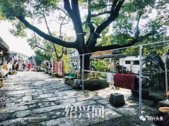 绍兴城南新村拆迁,绍兴城南街道新村2024年拆迁吗