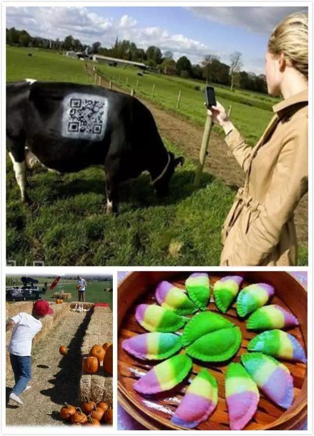 农业推广引流,低成本的引流掌握方法一样能挣钱