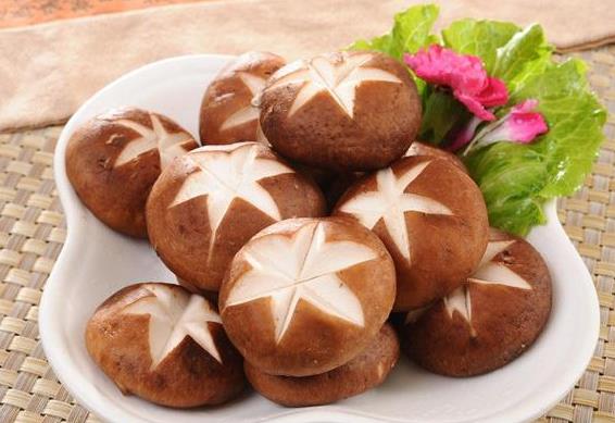 冬虫夏草补肾真的有用吗,冬虫夏草补肾效果怎么样