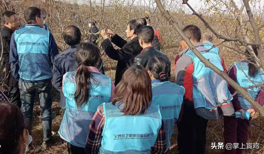 四位一体促就业,促就业四进