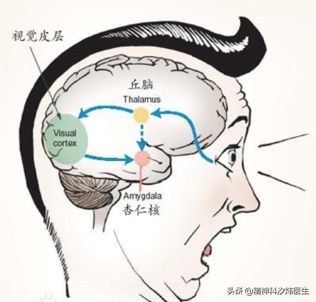 辟谣被误导的谣言,辟谣到底有多可怕