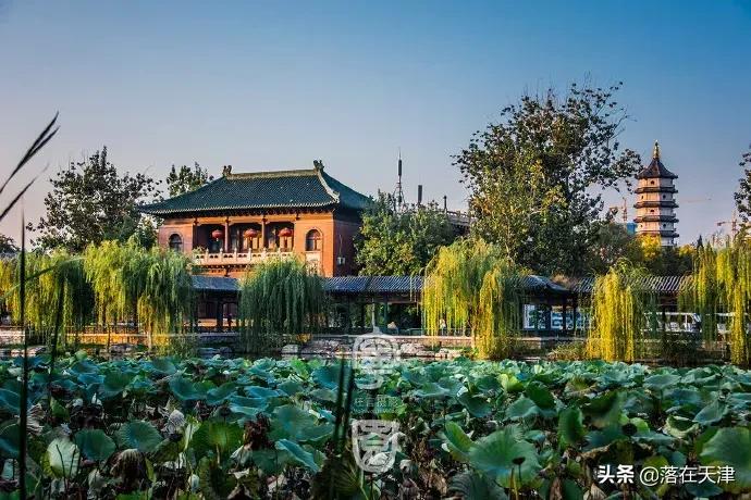 天津郊游免费最佳景点,天津免费开放的景点