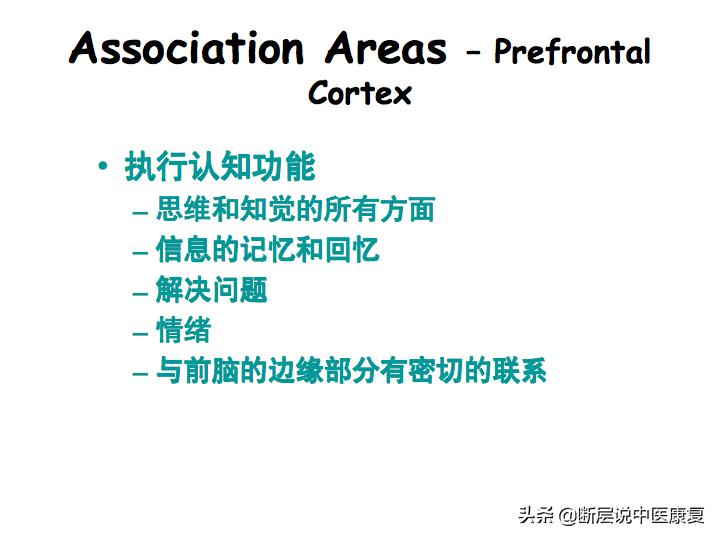 中枢神经系统断层解剖讲解,中枢神经3d解剖动画