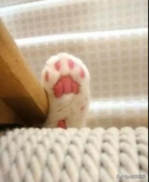 图片像素没了怎么办,图片像素不好怎么用ps处理