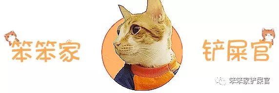 猫咪受伤要用什么药,猫咪受伤表现