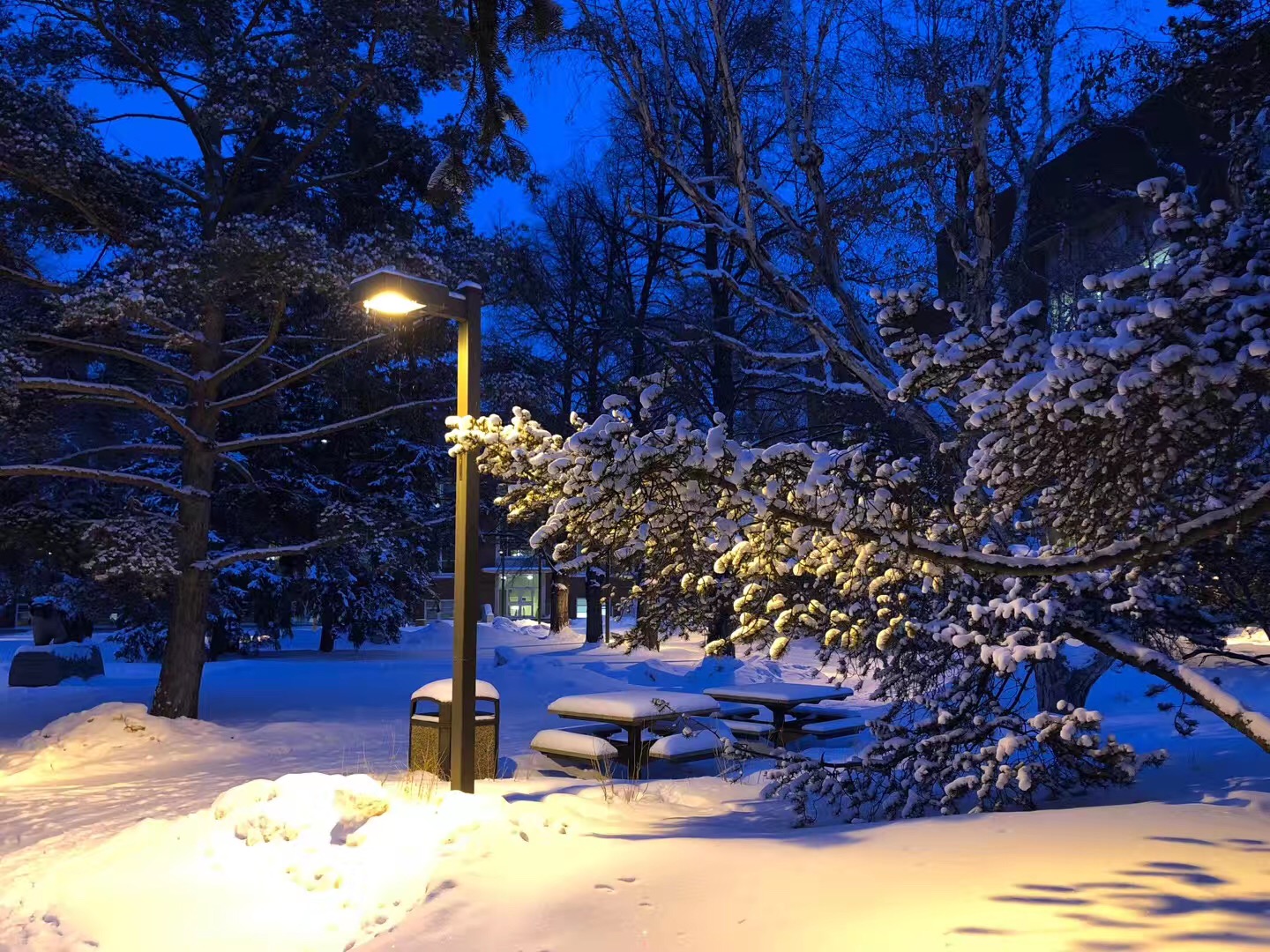 阿尔伯塔大学排名为什么越来越低,加拿大阿尔伯塔大学国内认可吗