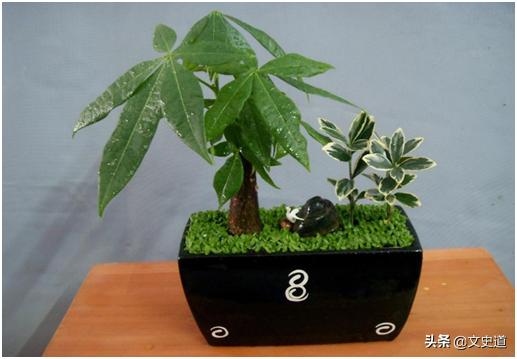 送礼禁忌什么东西,民间禁忌之送礼禁忌